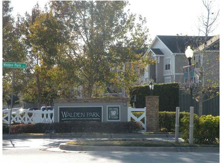 Walden Park - Photo 3 of 30