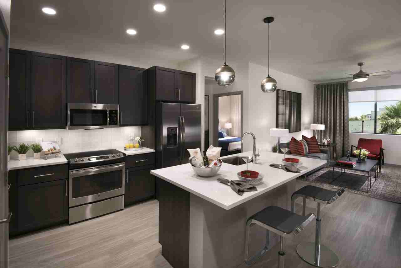 The Muse- Brand New! - Photo 3 of 12