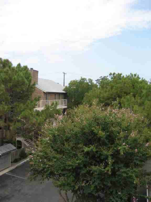 The Compound at the Park - Photo 3 of 16