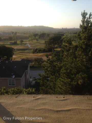 31416 Club Vista Ln - Photo 3 of 12