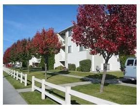 Driftwood Park - Photo 2 of 19