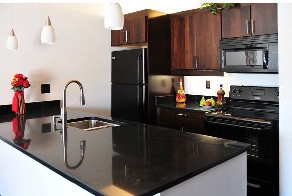 Genesis Properties Apartments 101 W Commerce Rd, Richmond, VA 23224