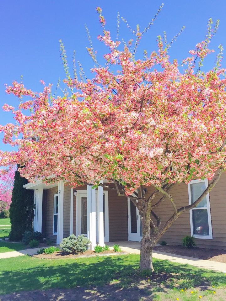 Stonebrook Townhomes - Photo 2 of 49