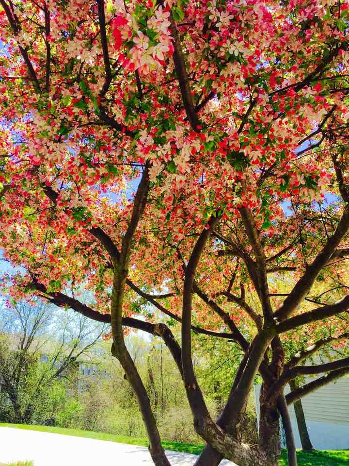 Stonebrook Townhomes - Photo 3 of 49