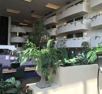 Champaign Place Hotel Apartments For Rent 2715 Cherry Rd