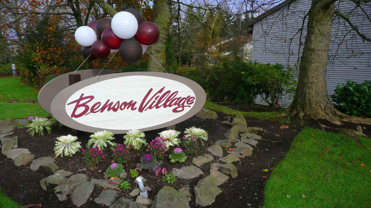 Benson Village - Photo 2 of 46