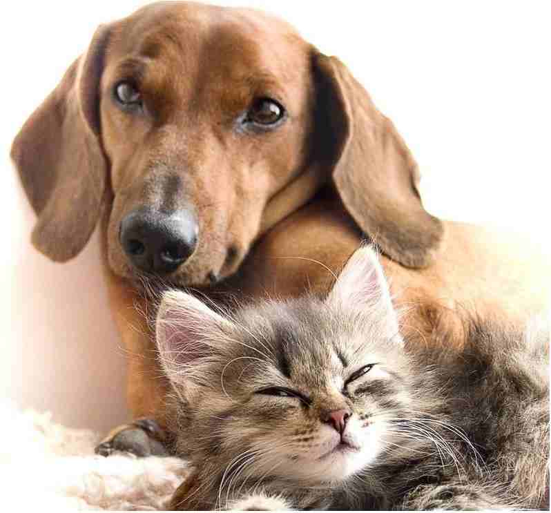 Golf Villas Apartments - Photo 2 of 28