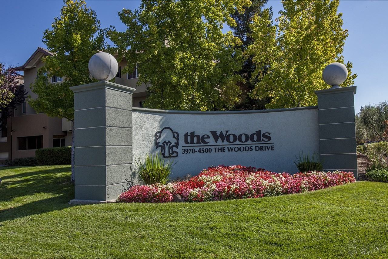 The Woods - Photo 2 of 46