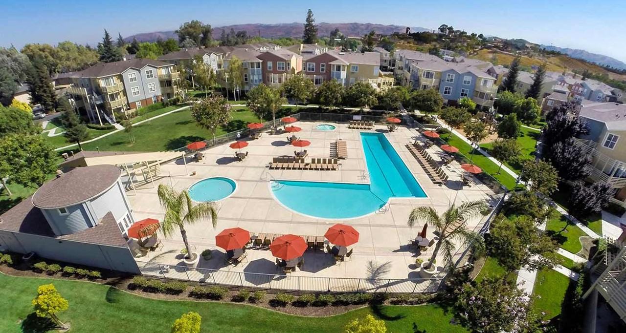 The Woods - Photo 3 of 46