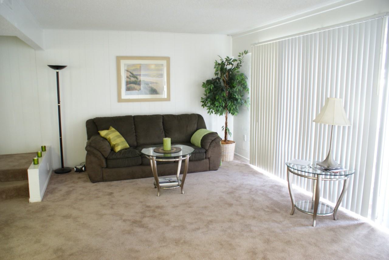The Palms - Photo 3 of 17