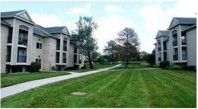 Maple Hills - Photo 3 of 19