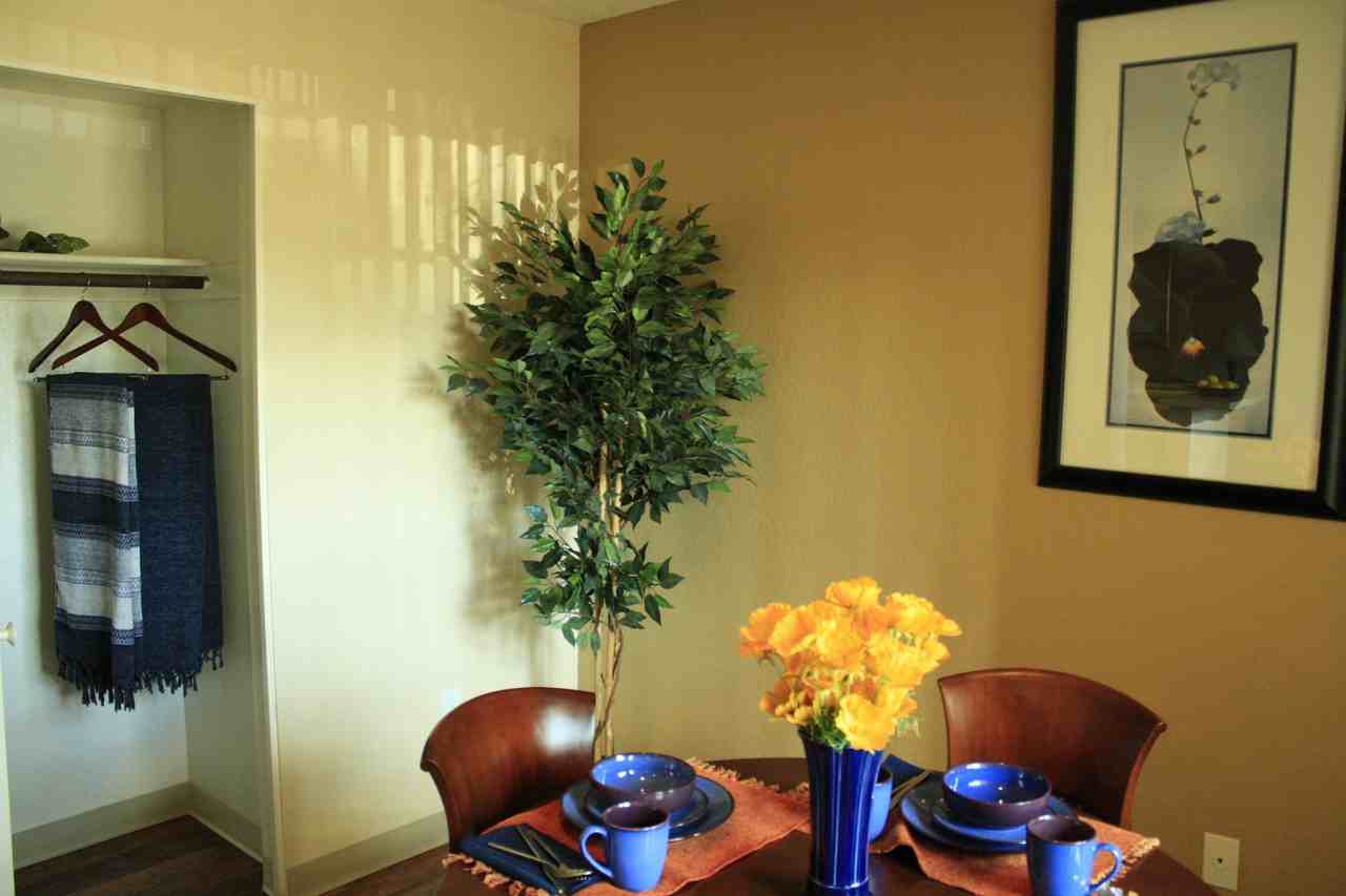 San Mateo - Photo 3 of 28