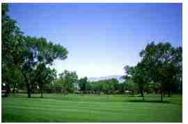 The Beach Apartments - Photo 2 of 30