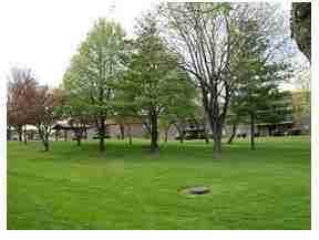 Lorlyn of Batavia - Photo 3 of 31