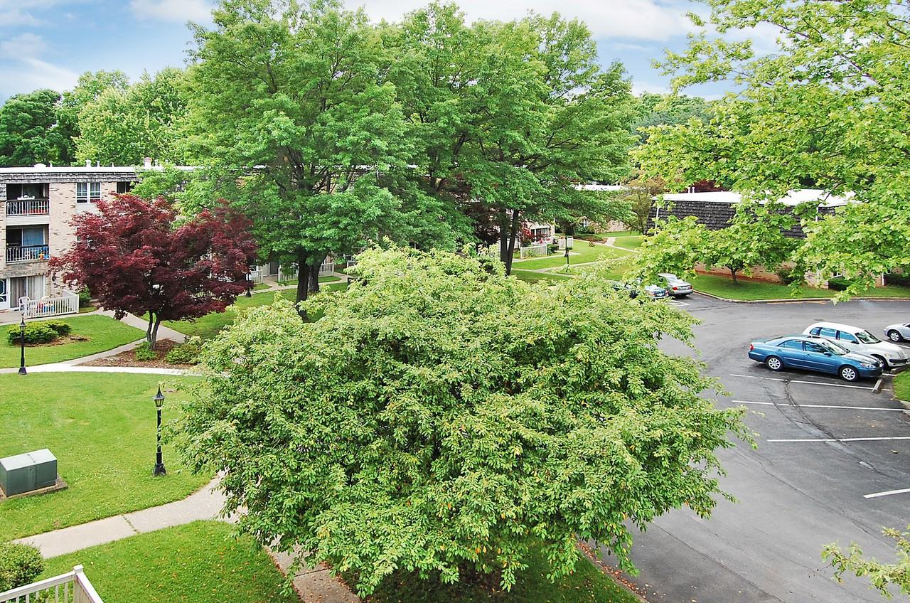 Stony Run Apartments - Photo 2 of 13