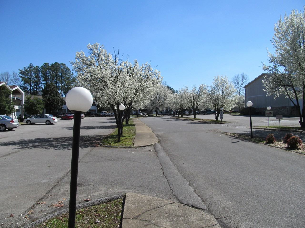 Rustic Village North - Photo 2 of 23