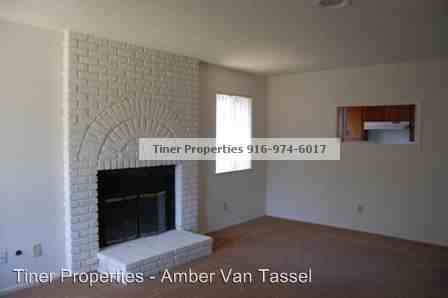 1101 Agatha Way - Photo 3 of 10