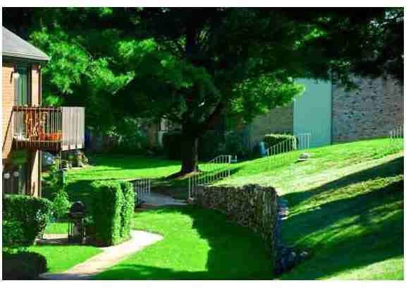 The Village Green - Photo 2 of 15