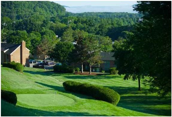 The Village Green - Photo 3 of 15