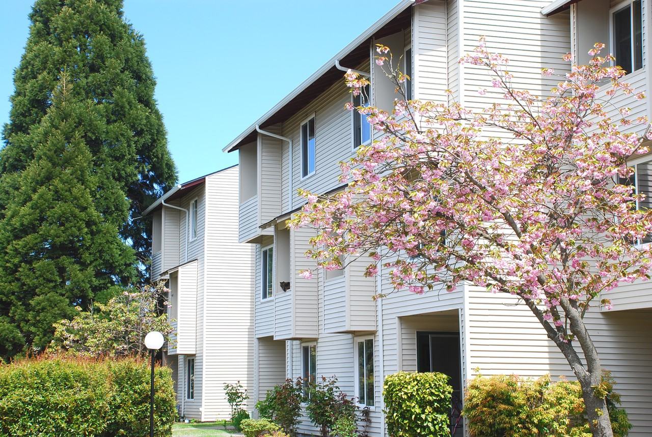 Redwood Park - Photo 2 of 19