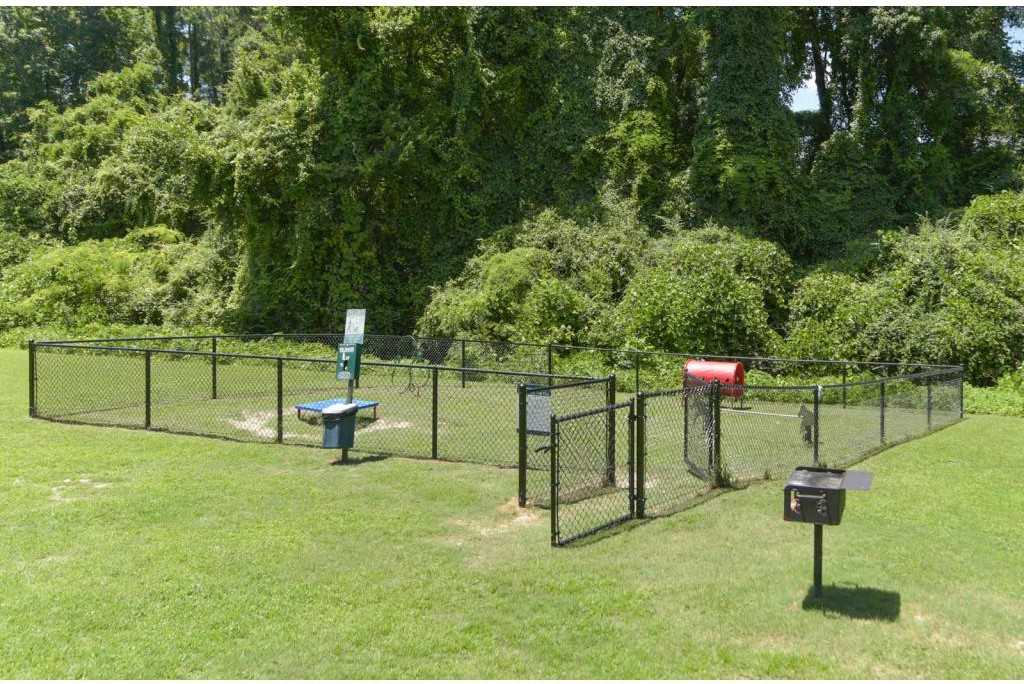 The Creek - Photo 3 of 13