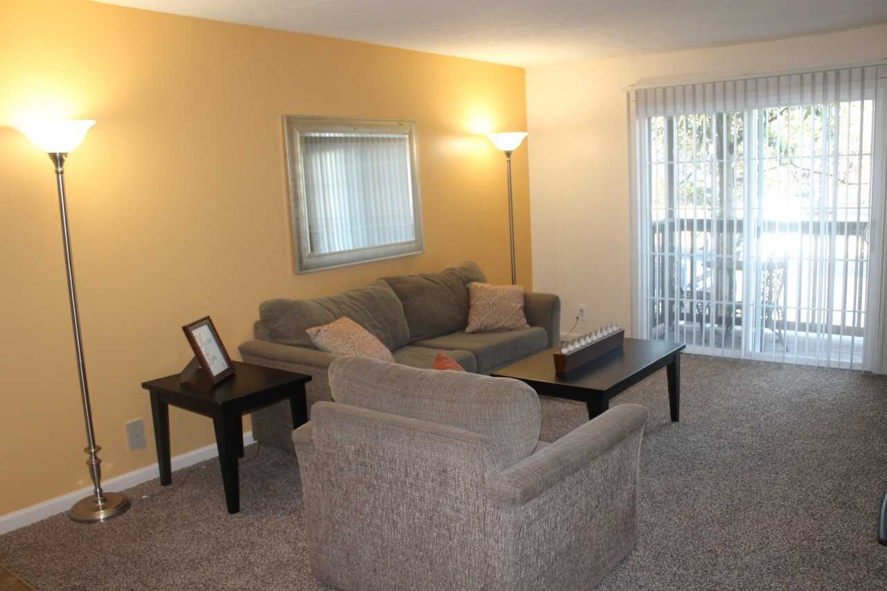 Chestnut Ridge - Photo 2 of 13