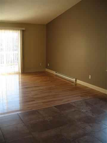 Twohig - Photo 2 of 36