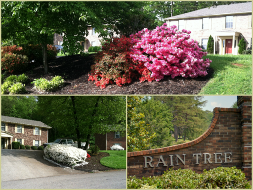 622 Rain Forest Rd #A