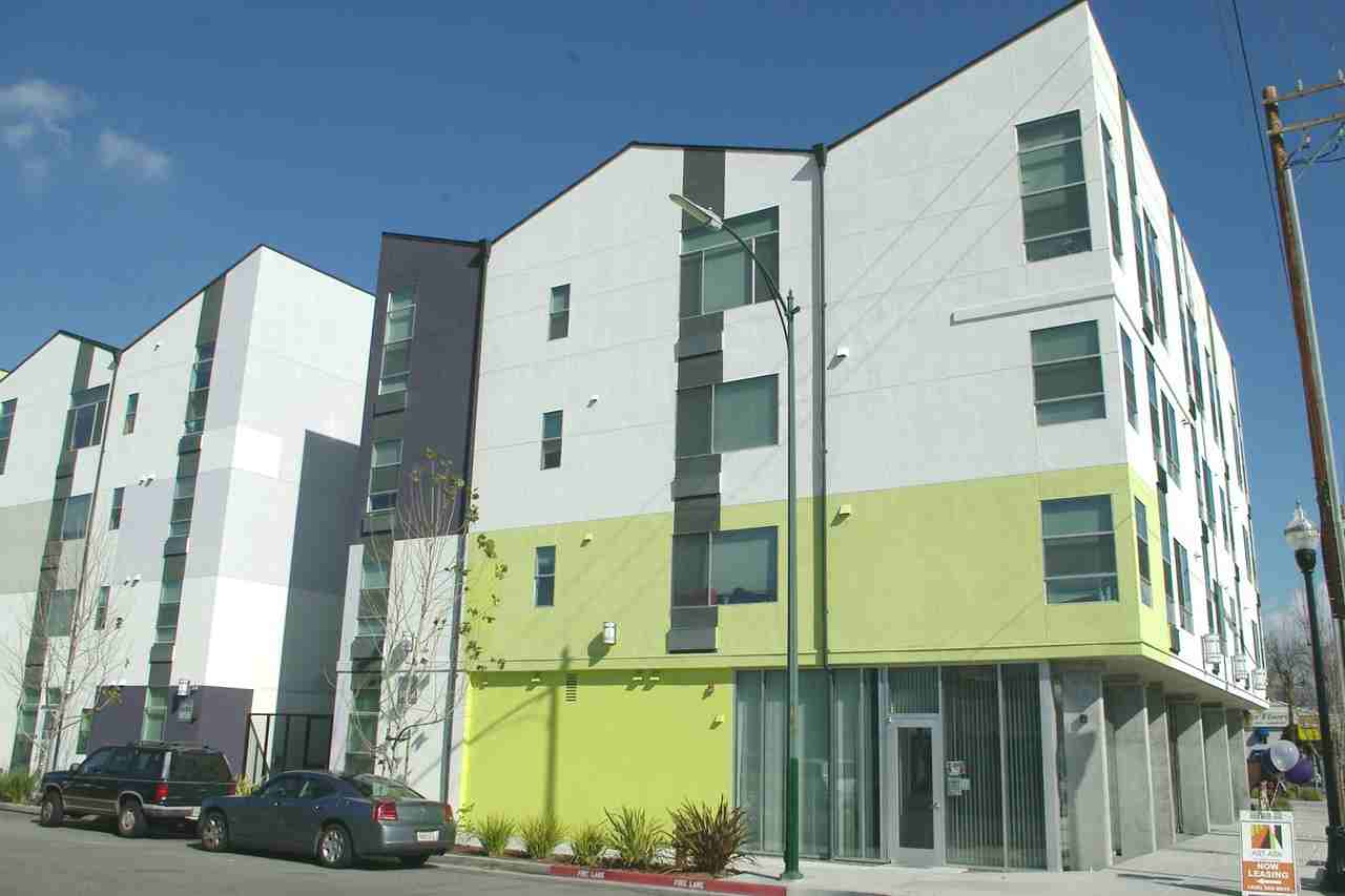 Art Ark - Photo 2 of 20