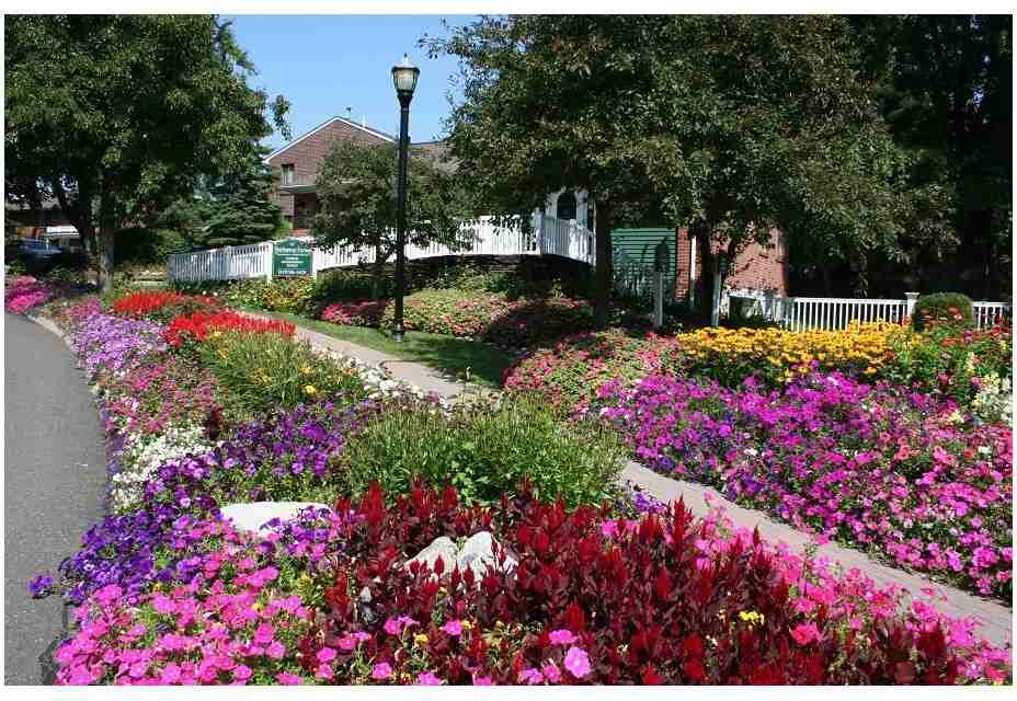 Hathaway Farms Townhomes - Photo 2 of 11