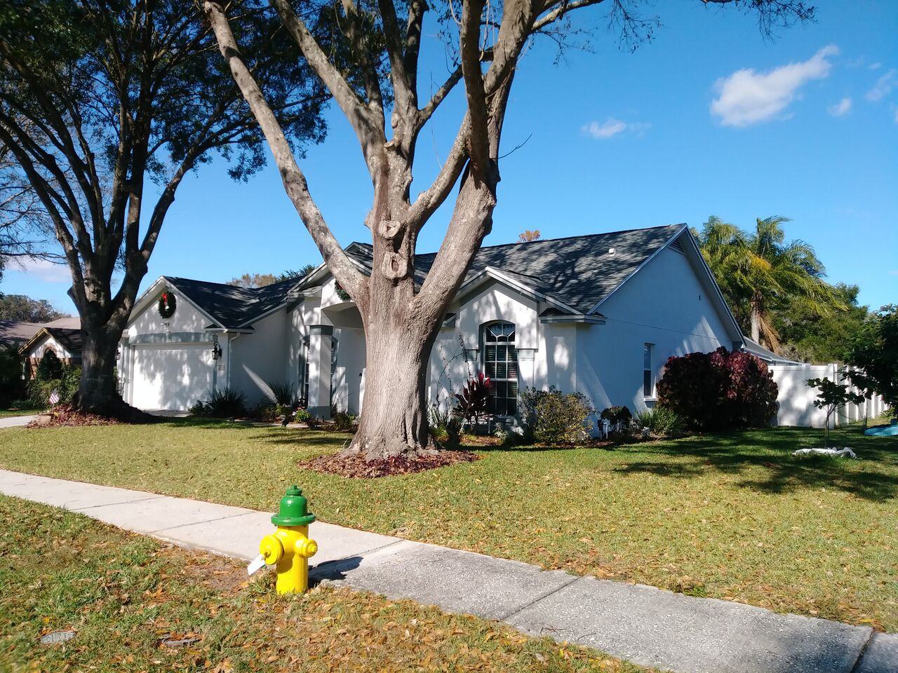 2606 Brianholly Dr - Photo 2 of 17