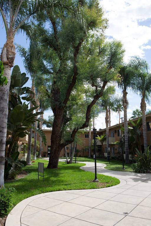 5919 Reseda Boulevard #33 - Photo 3 of 12