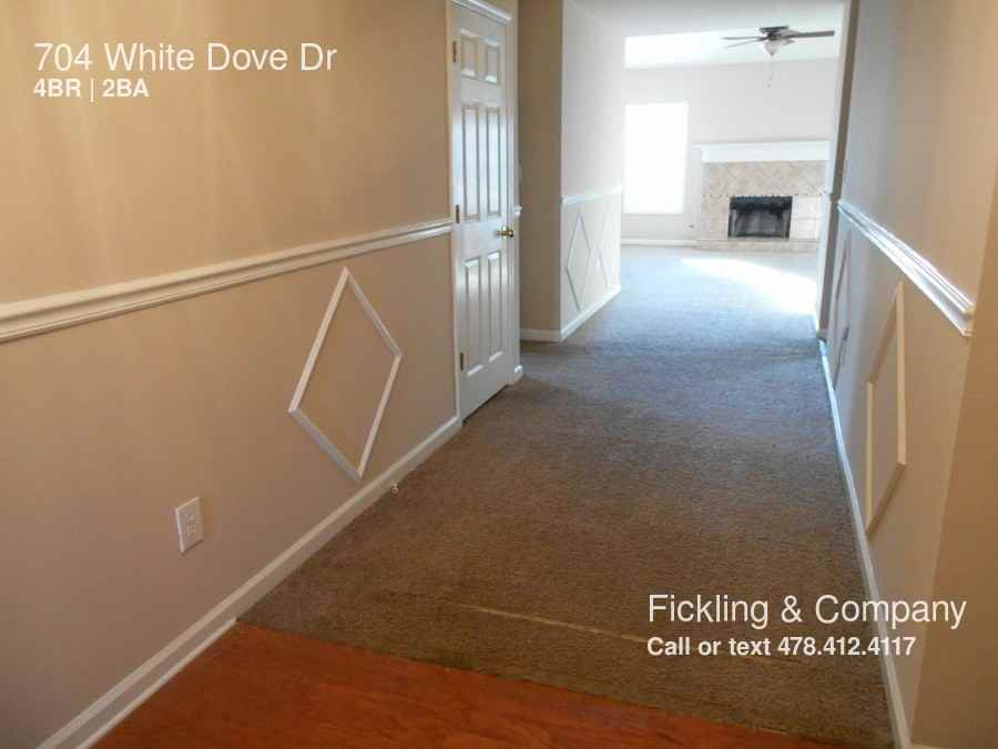 704 White Dove Dr - Photo 2 of 19