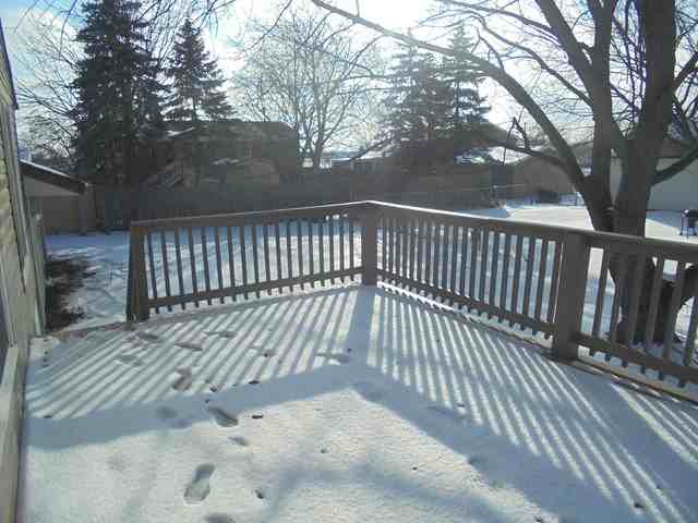 820 Oxford Ave - Photo 2 of 48