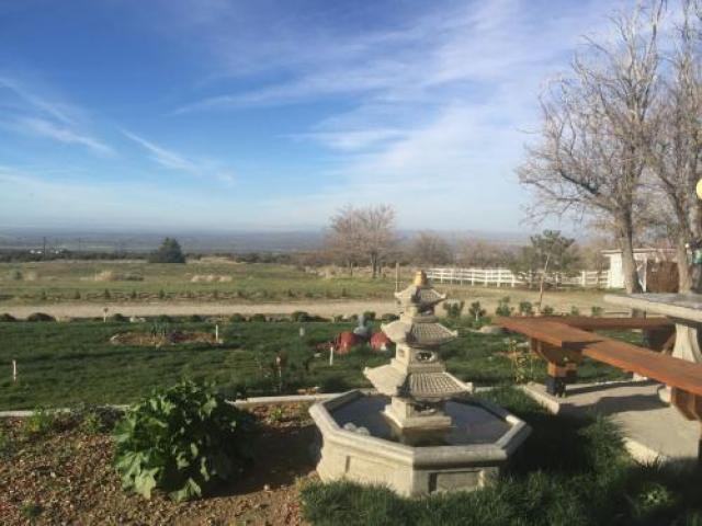 10531 Cima Mesa Rd - Photo 3 of 6