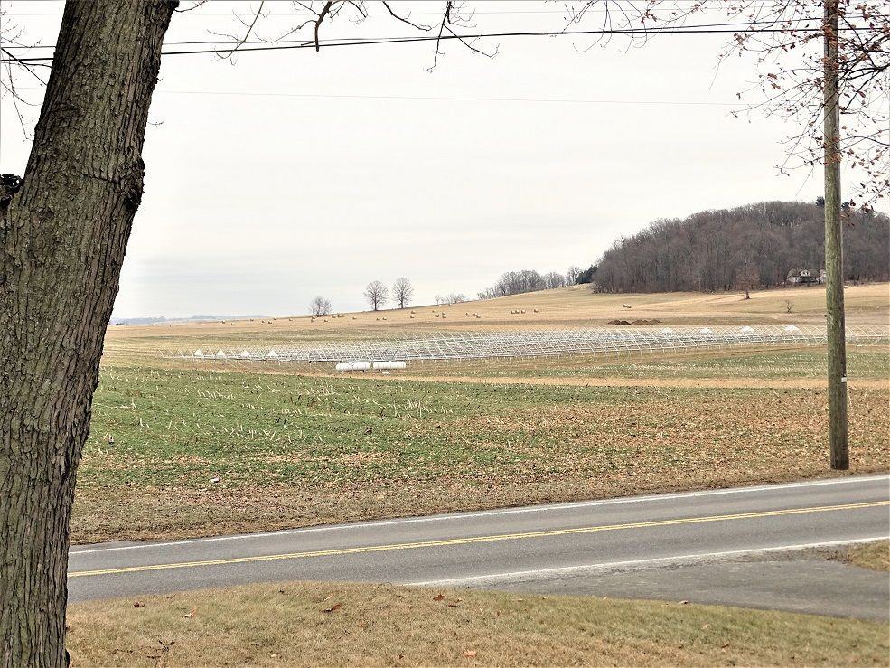 95 N Farmersville Rd - Photo 3 of 22