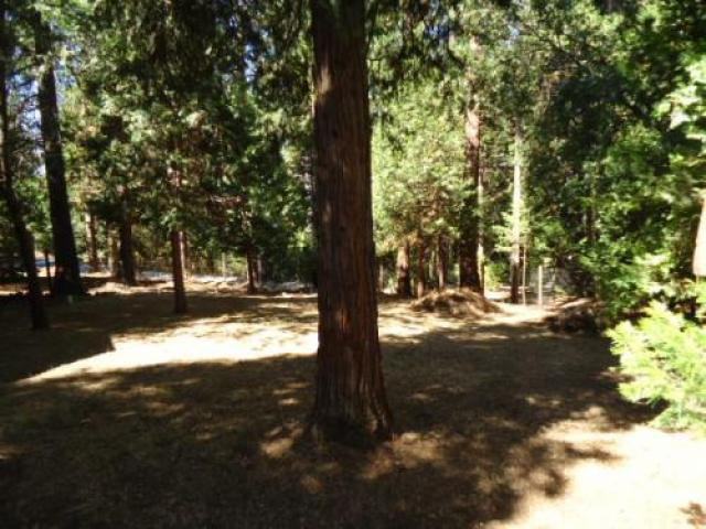 22744 Confidence Rd - Photo 3 of 6