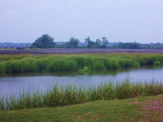 709 Atlantic Dr - Photo 3 of 6