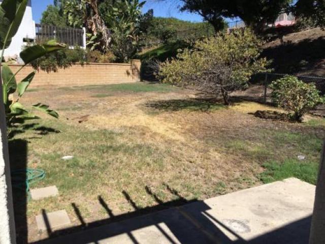 24992 Reflejo - Photo 2 of 6