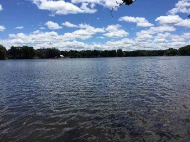 11550 Maple St - Photo 2 of 6