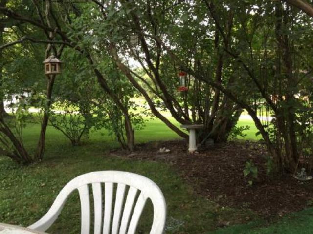 15945 106th Ave - Photo 3 of 6