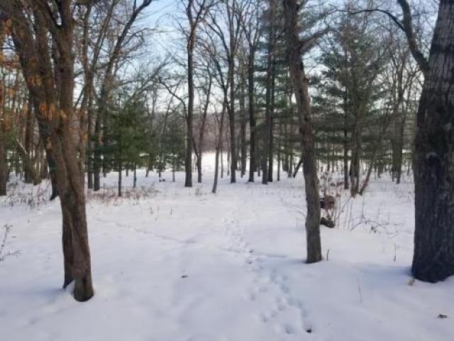 35505 Wild Mountain Rd - Photo 3 of 6