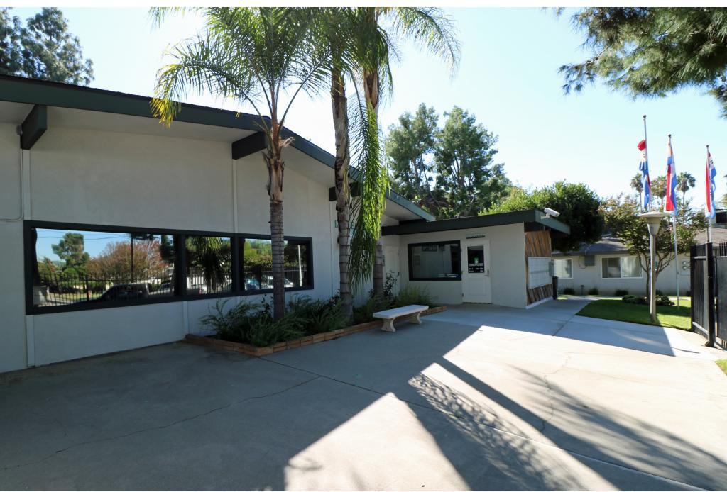 Pine Garden - Photo 3 of 20