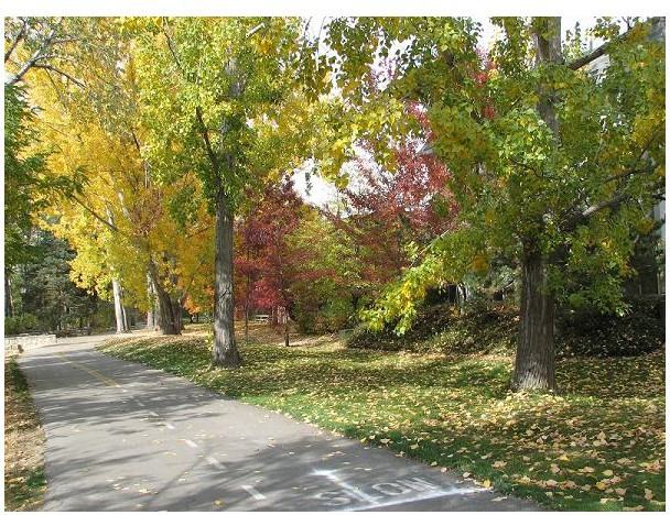 Clearwater Apartments - Photo 2 of 3