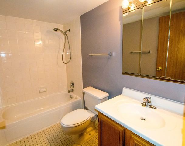 1532 N River W Ct #3b - Photo 3 of 10