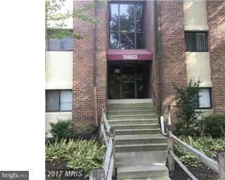 15603 Dorset Rd #204