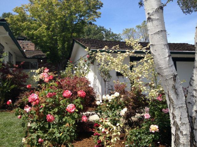 2332 Eastridge Ave - Photo 3 of 16