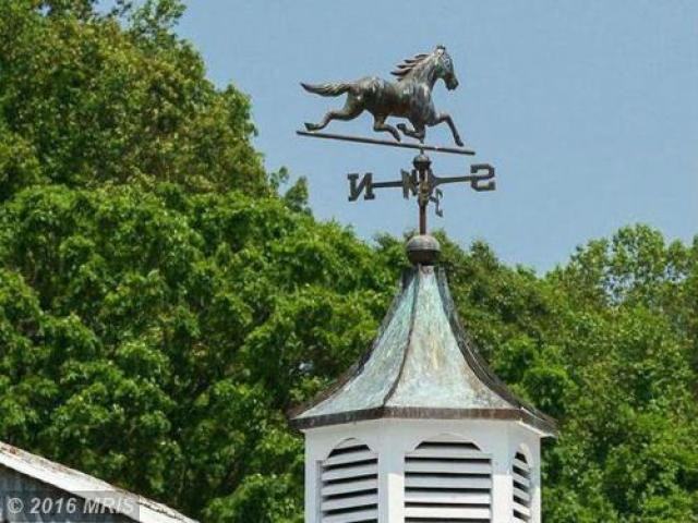 15317 York Rd - Photo 2 of 6