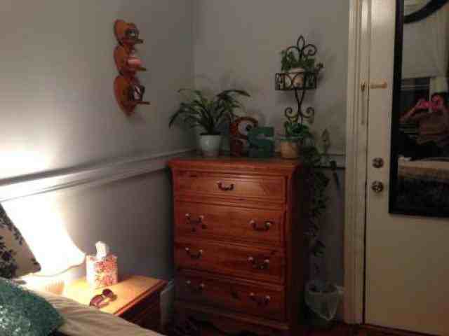 152 Calyer St - Photo 2 of 5