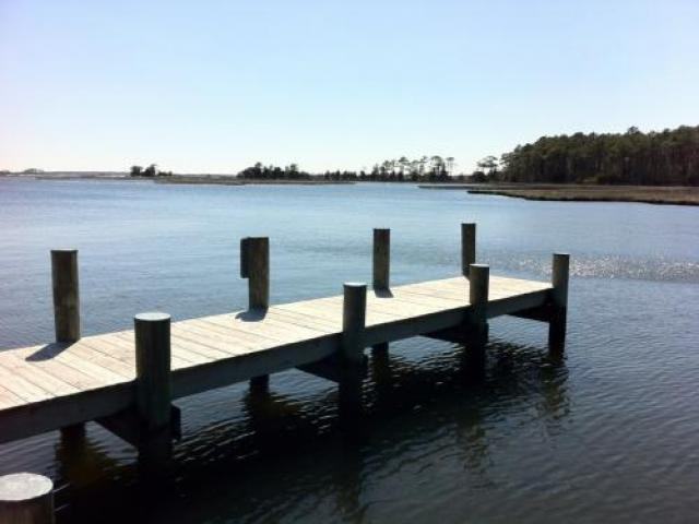 38934 Blue Indigo Rd - Photo 3 of 6